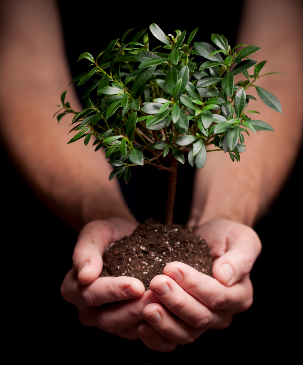 We plant a tree for every product sold!